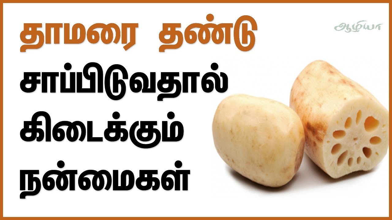 Lotus Stem in Tamil | Health Benefits of Lotus Root | தாமரை தண்டு | Health Tips in Tamil