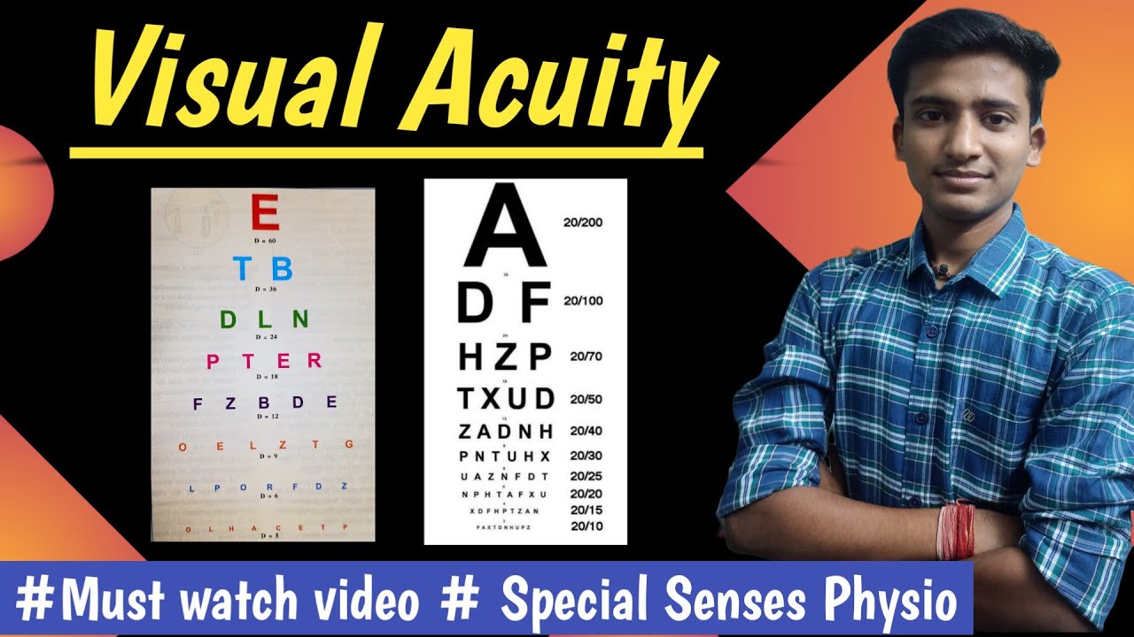 Visual Acuity || Special Senses || Eye Physiology || Opthalmology || in hindi || by Ashish Agrawal