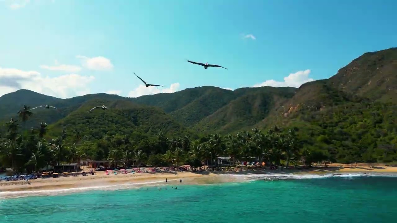 CHORONI UN PARAISO EN VENEZUELA