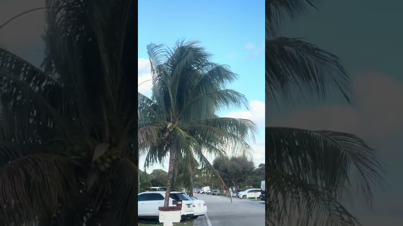 Parte 5 del empedrado del Juli salió la presa y hubo que batirse de nuevo 🔥🔥🔥