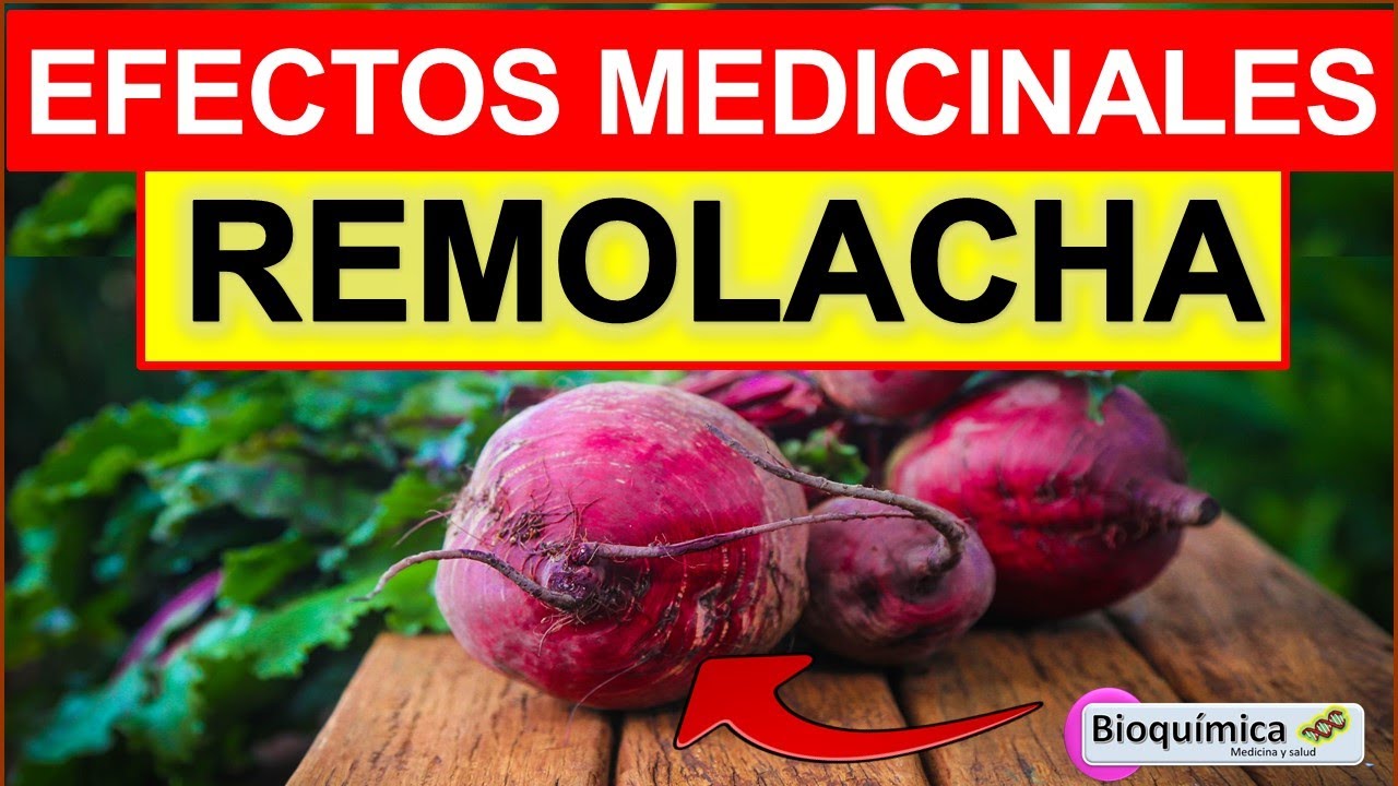 REMOLACHA - BETABEL -  EFECTOS MEDICINALES