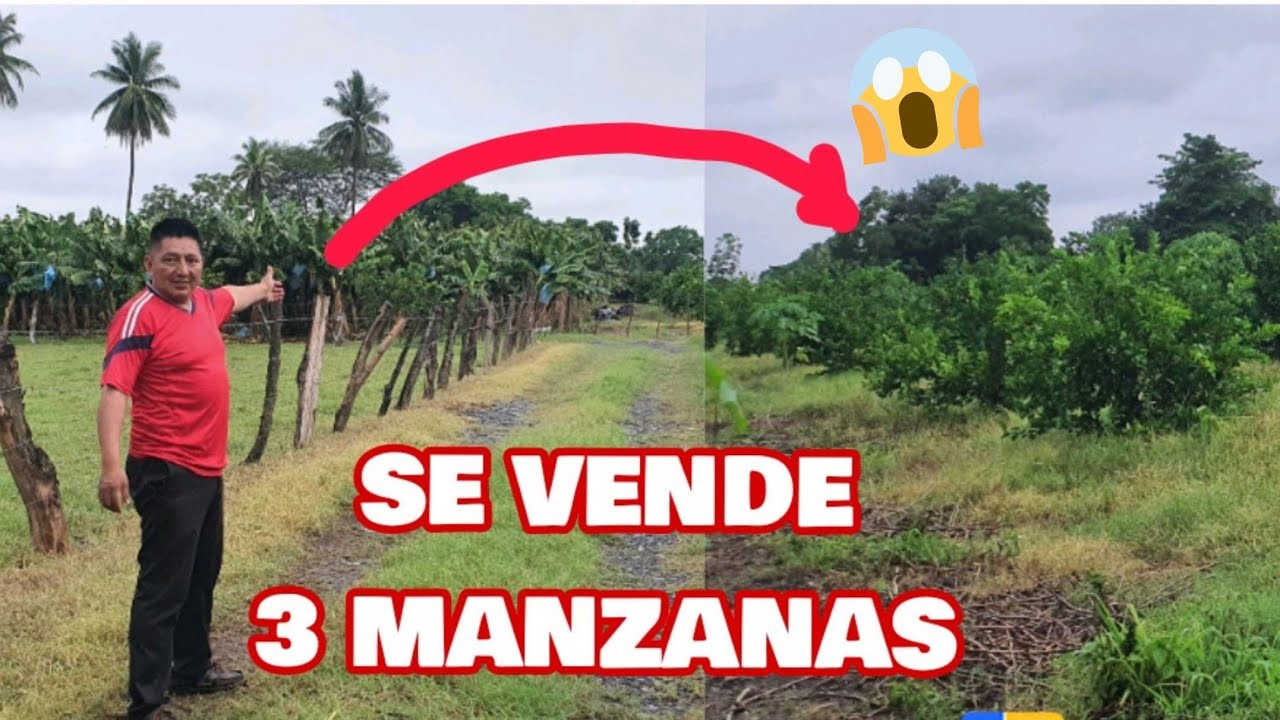 BONITO TERRENO A LA VENTA/Son 3 MANZANAS Con ARBOLES DE LIMONES/Cerca De NUEVA CONCEPCION ESCUINTLA