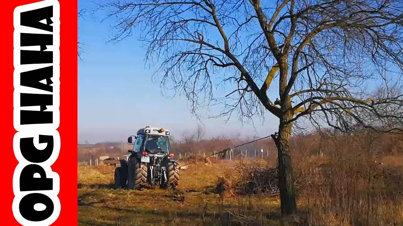 Orchard Demolition! Deutz Fahr 5105 Orchard Tractor & IMT 539 Heavy Work | Old Orchard Is No More!
