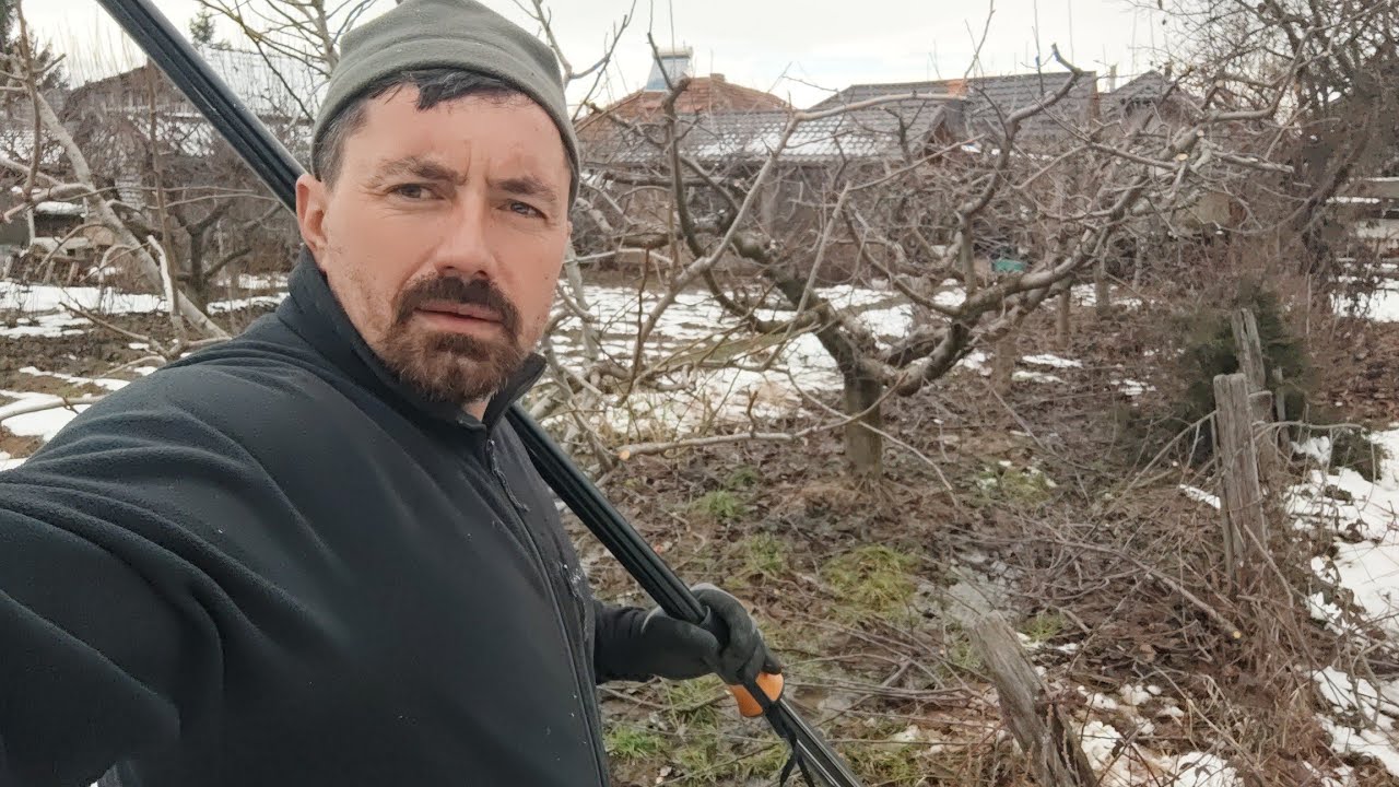 Două  livezi în lucru Finalizate și sfaturi prețioase despre tăierea pomilor fructiferi 🍐🫐🍒🍐🍏🍐