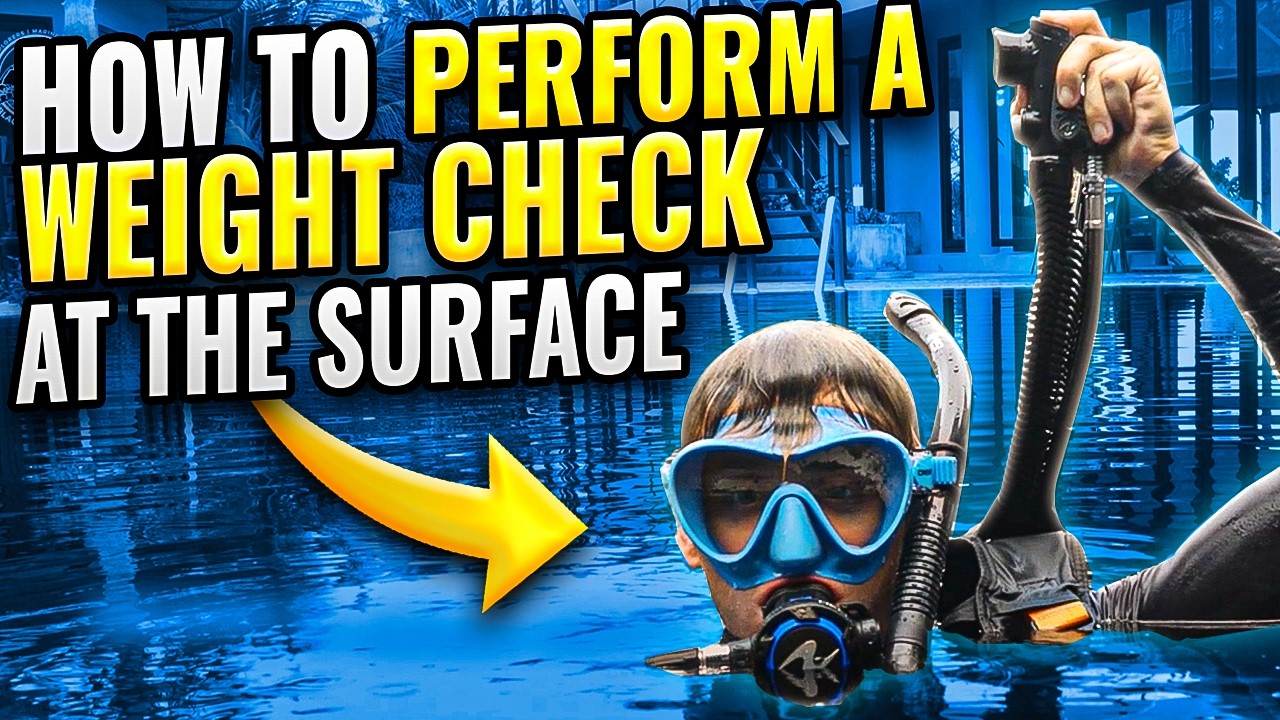 Scuba Diving: How to Perform a Weight Check at the Surface | Black Turtle Dive