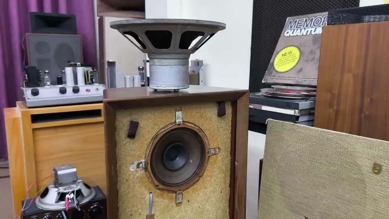 Philips 800 Ohm/16cm