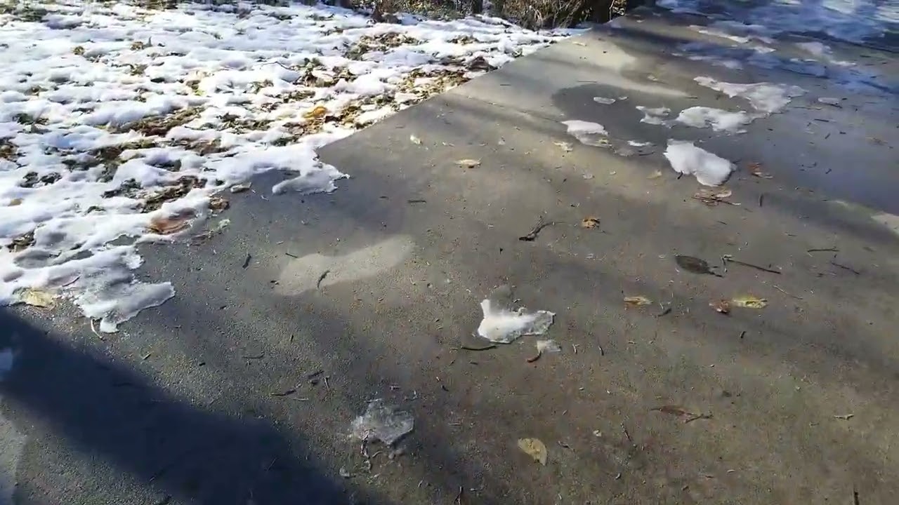 Going for a winter walk with Zoe - Part 2