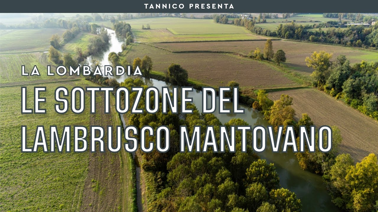 Le sottozone del Lambrusco Mantovano DOC | Tannico