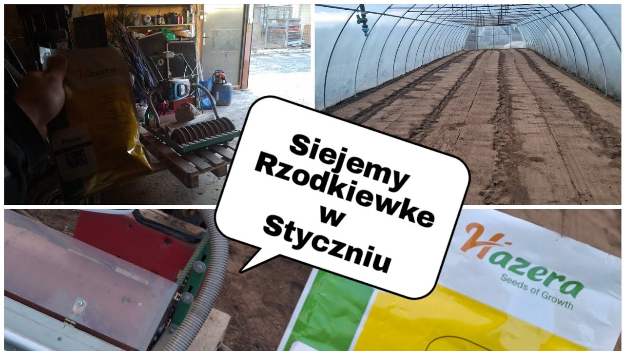 WarzyVlog#15 Zaczynamy sezon 2025! Siew rzodkiewki w styczniu ?! Szykujemy już tunele !