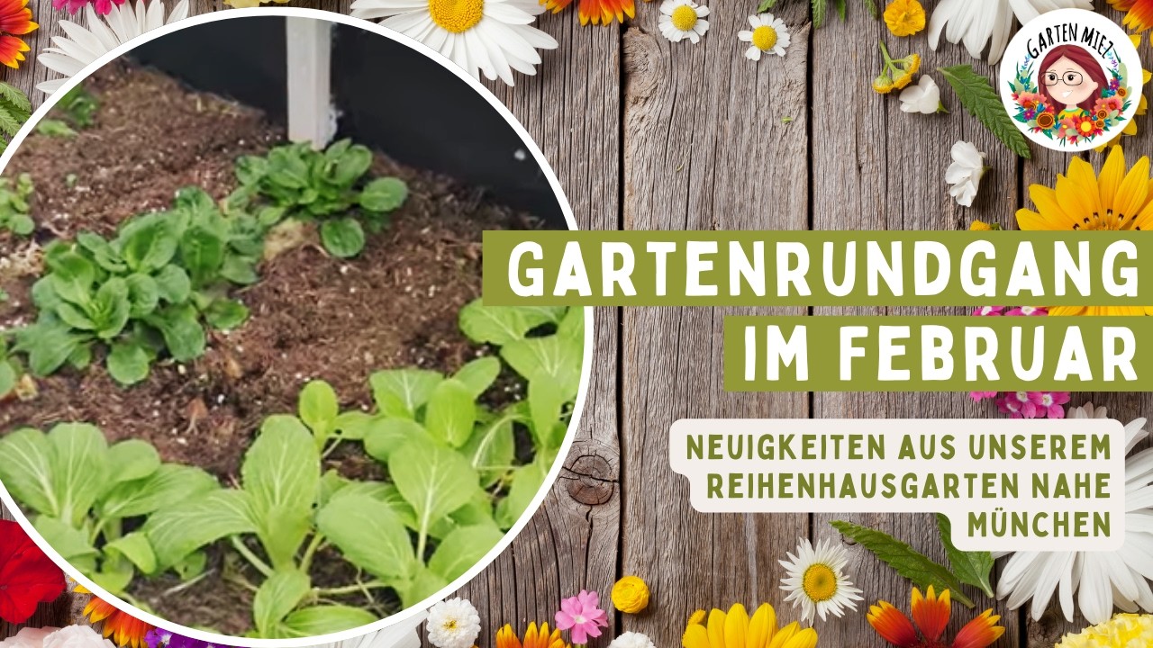 Gartenrundgang Februar 2025 🌱 Neuigkeiten aus dem Stadtgarten bei M&uuml;nchen