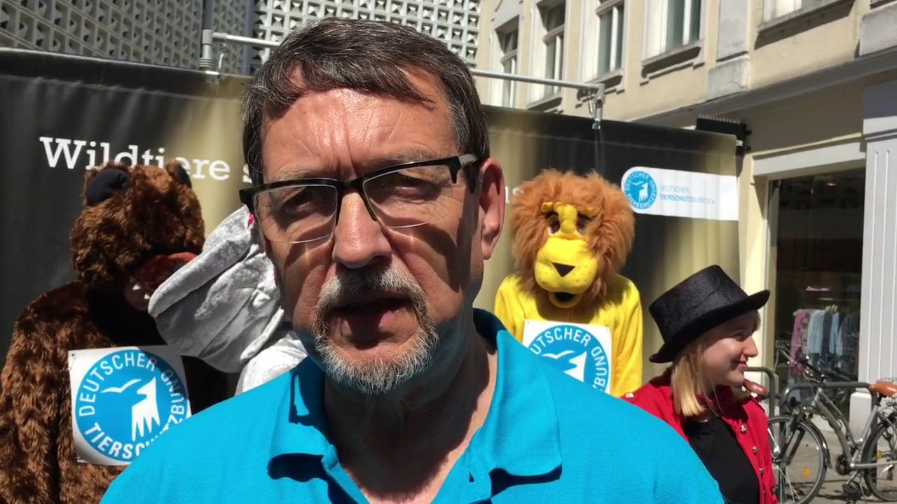 Aktion Wildtiere sind keine Zirkustiere