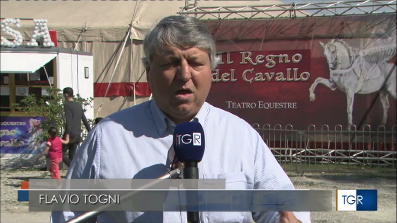 Il Regno del Cavallo (Togni) al TgR Lombardia
