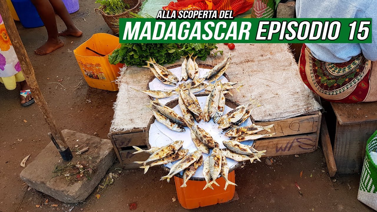 Ep15 • Viaggio Madagascar • Piantagioni di Millot e Arrivo a Nosy Be