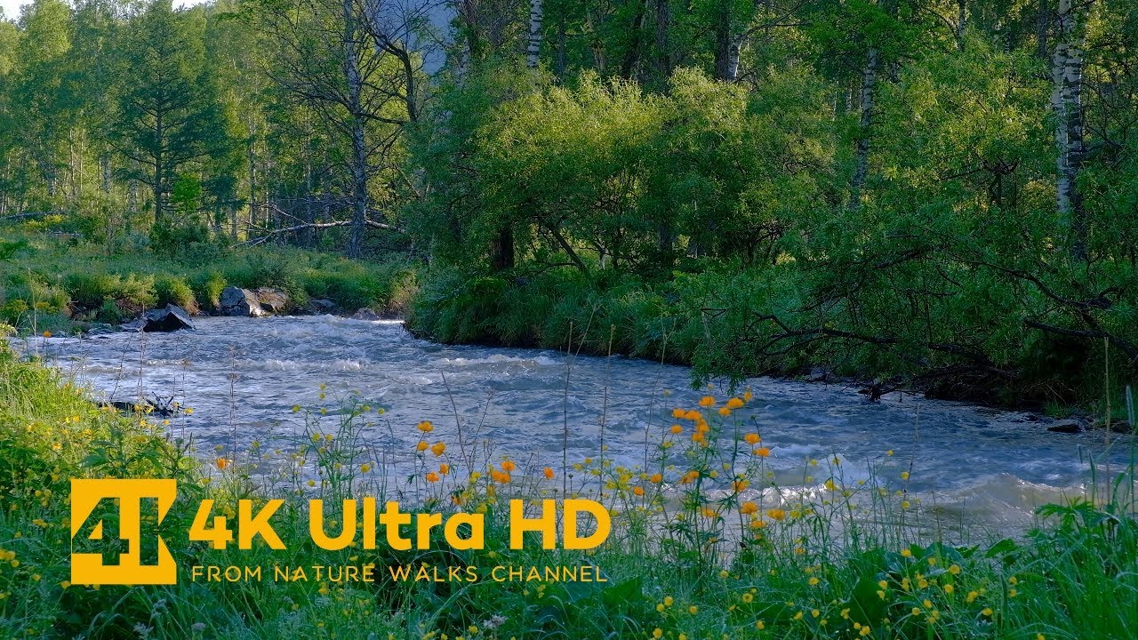1 Hour of Relaxing Summer River Sounds