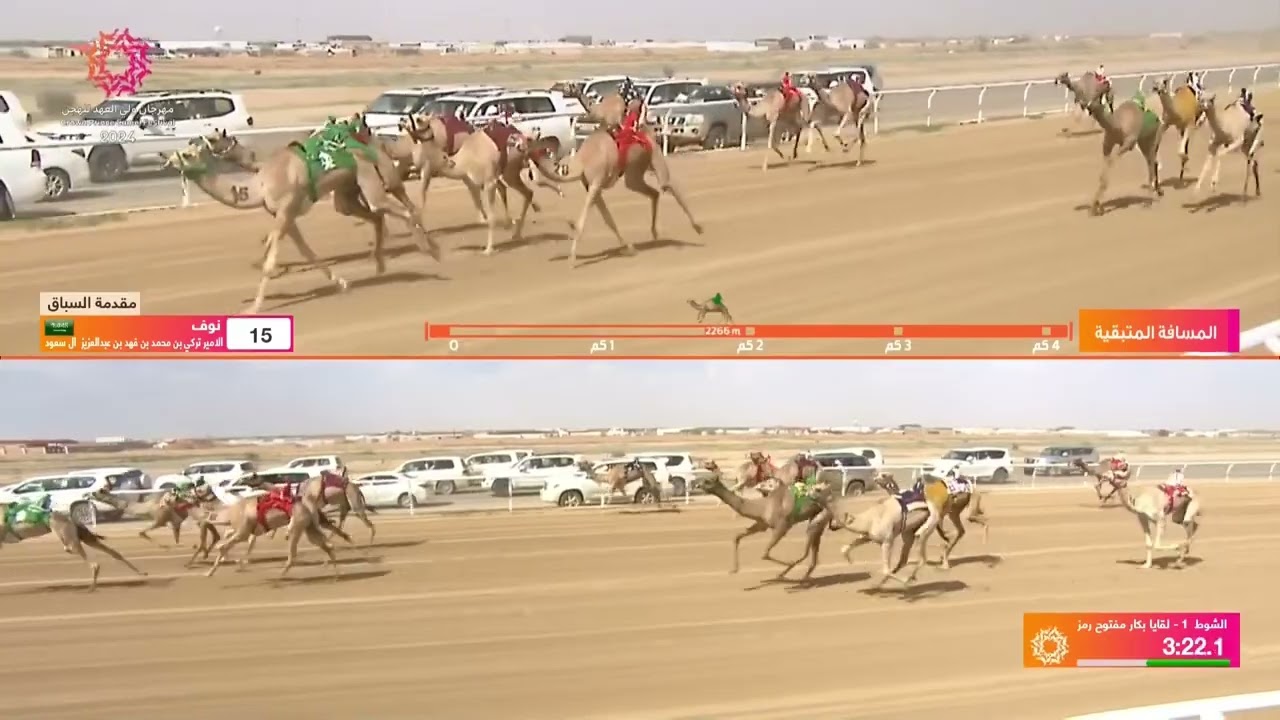 الشوط 1 كأس لقايا بكار مفتوح مساء يوم خميس 05-09-2024 من #مهرجان_ولي_العهد_للهجن