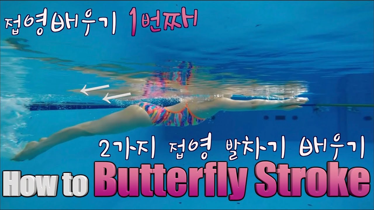 이현진 수영 / how to butterfly stroke / 접영발차기 /접영 연결동작