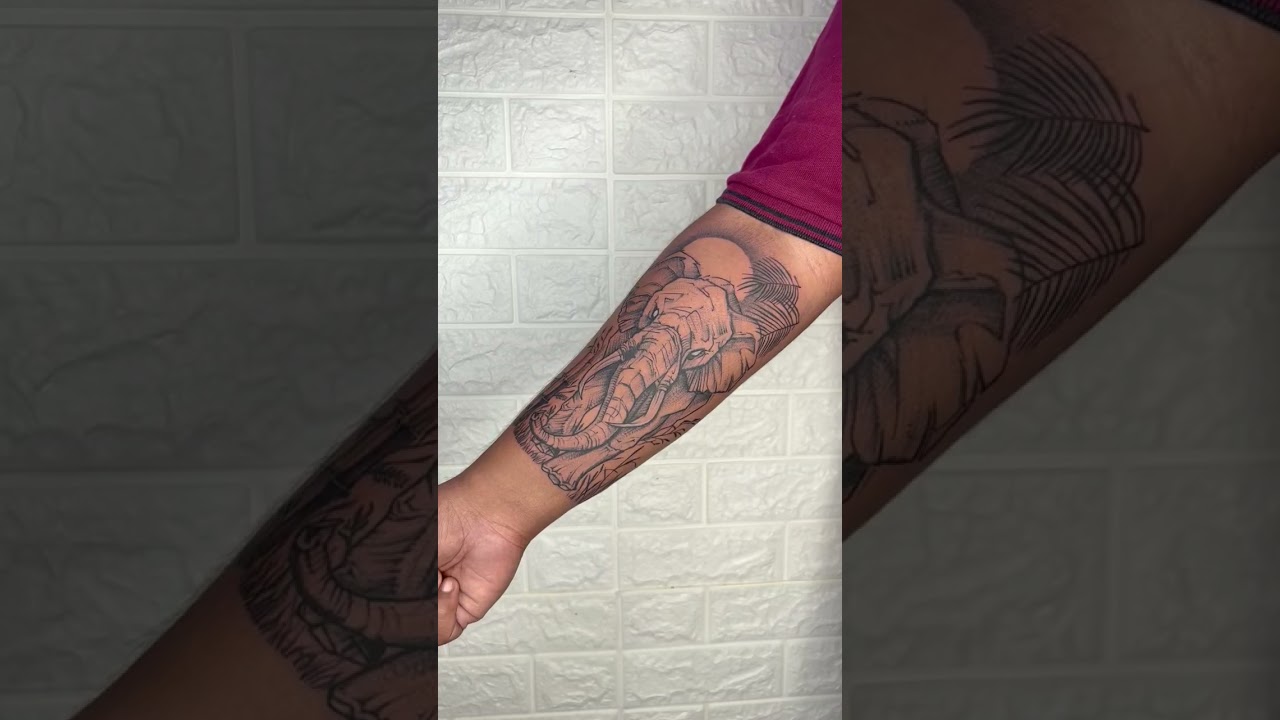 #shorts #Astratattoo #elephants #elephantlife #elephanttattoo #elephantart #saveelephant