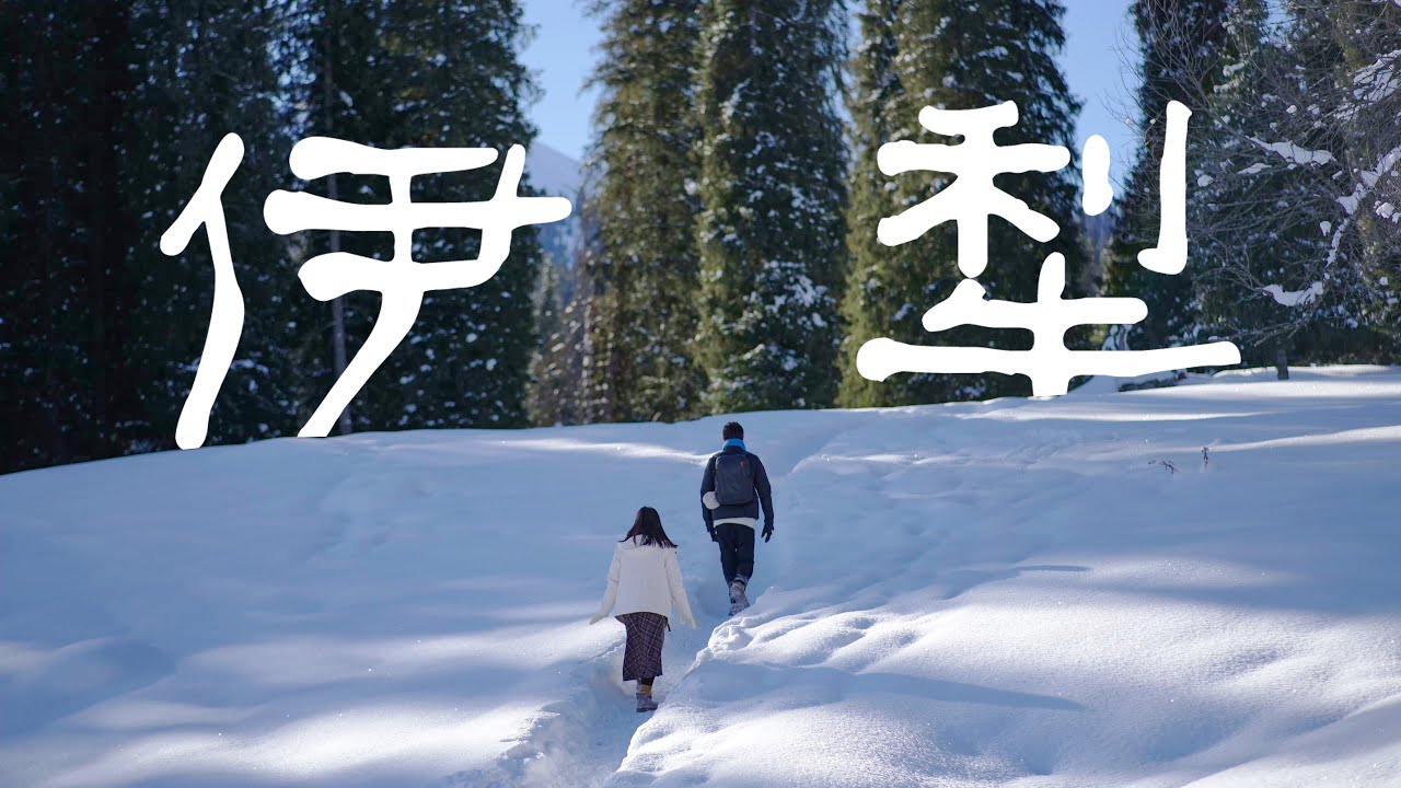 4K | 中國旅遊 | 新疆 北疆冬季伊犁之行 夏塔&庫爾德寧  | Travel to China Xinjiang YILI IN WINTER