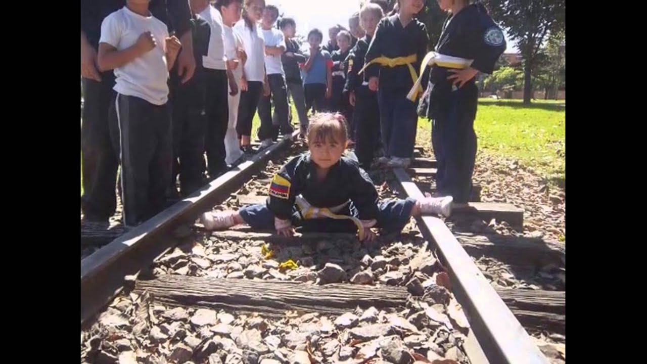 SHINGITAI COLOMBIA Artes Marciales (SHINGITAI KIDS)