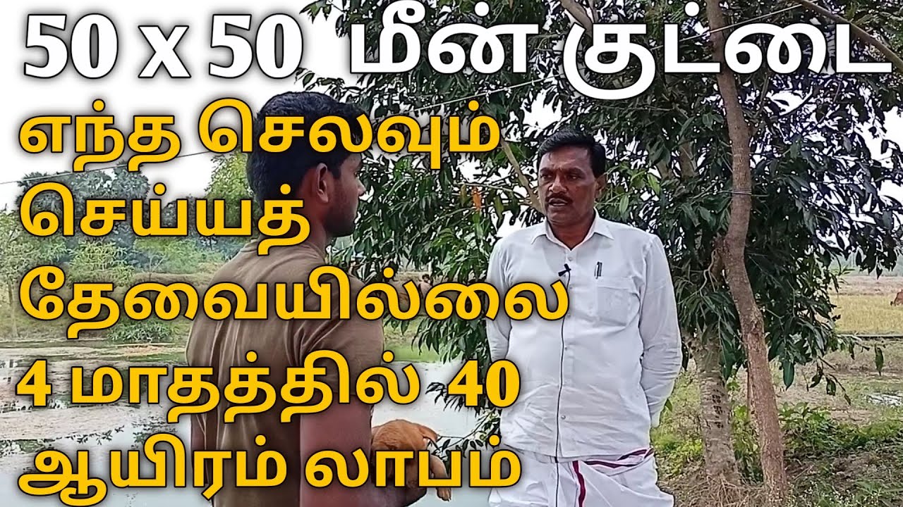 50x50 மீன் குட்டை எந்த செலவும் செய்யத் தேவையில்லை 4 மாதத்தில்  40 ஆயிரம் லாபம்