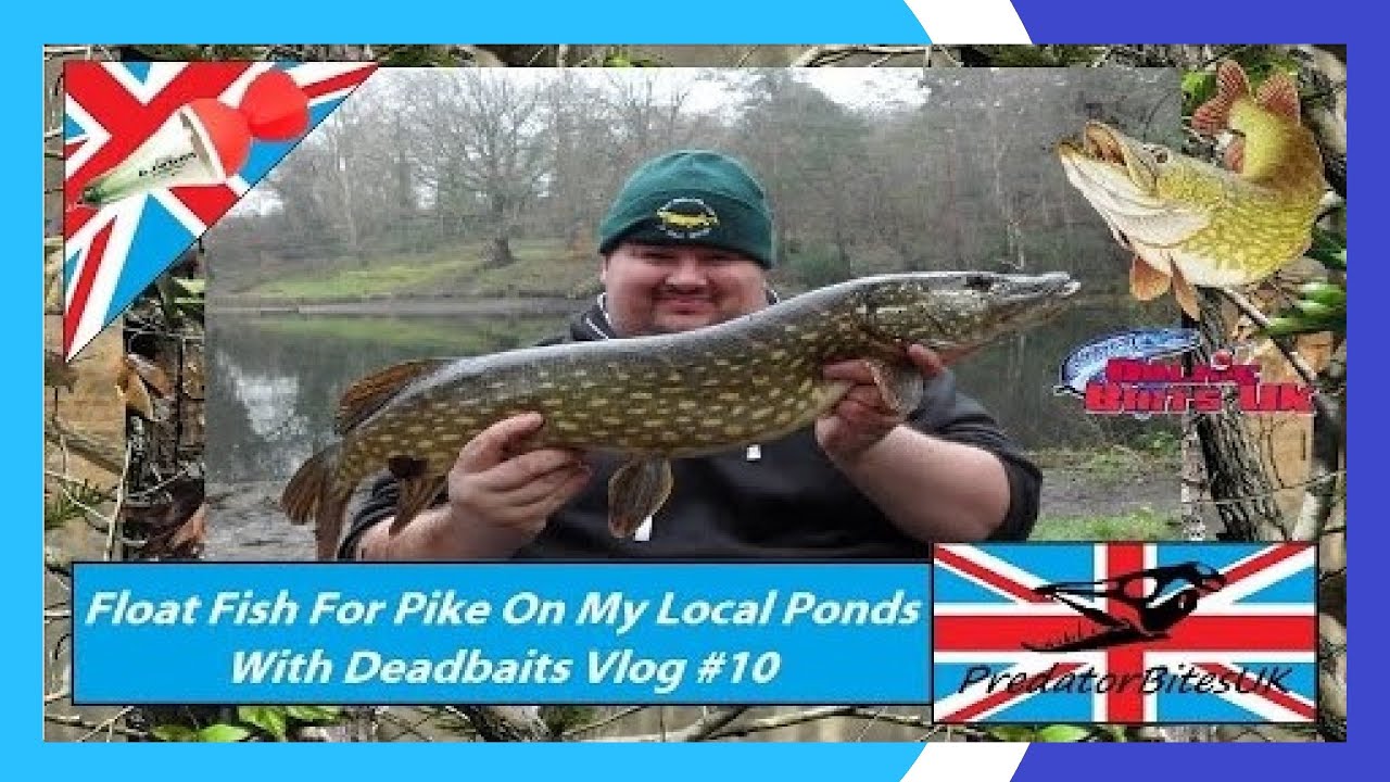 Vlog #10 - Float Fishing For Pike On My Local Ponds With Deadbaits - PredatorBitesUK