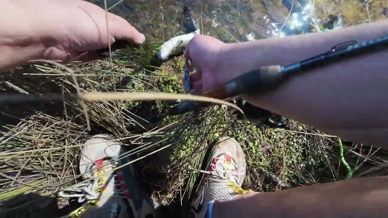 fishing at a random lake for trout