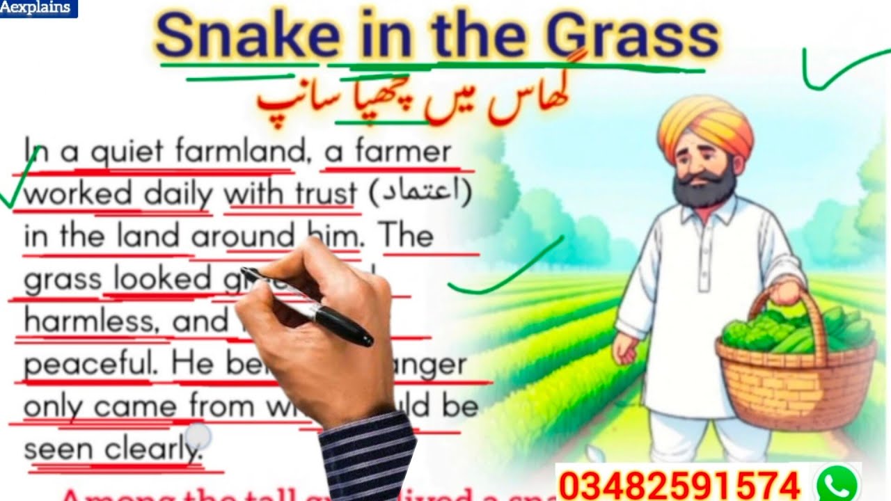 The Snake in the Grass | گھاس میں چھپا سانپ | Learn English Through Stories | AExplains