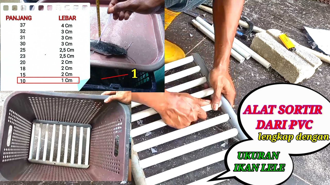 Cara Buat Alat Sortir dari pipa PVC!! LENGKAP beserta ukuran ikan Lele sampai panen.
