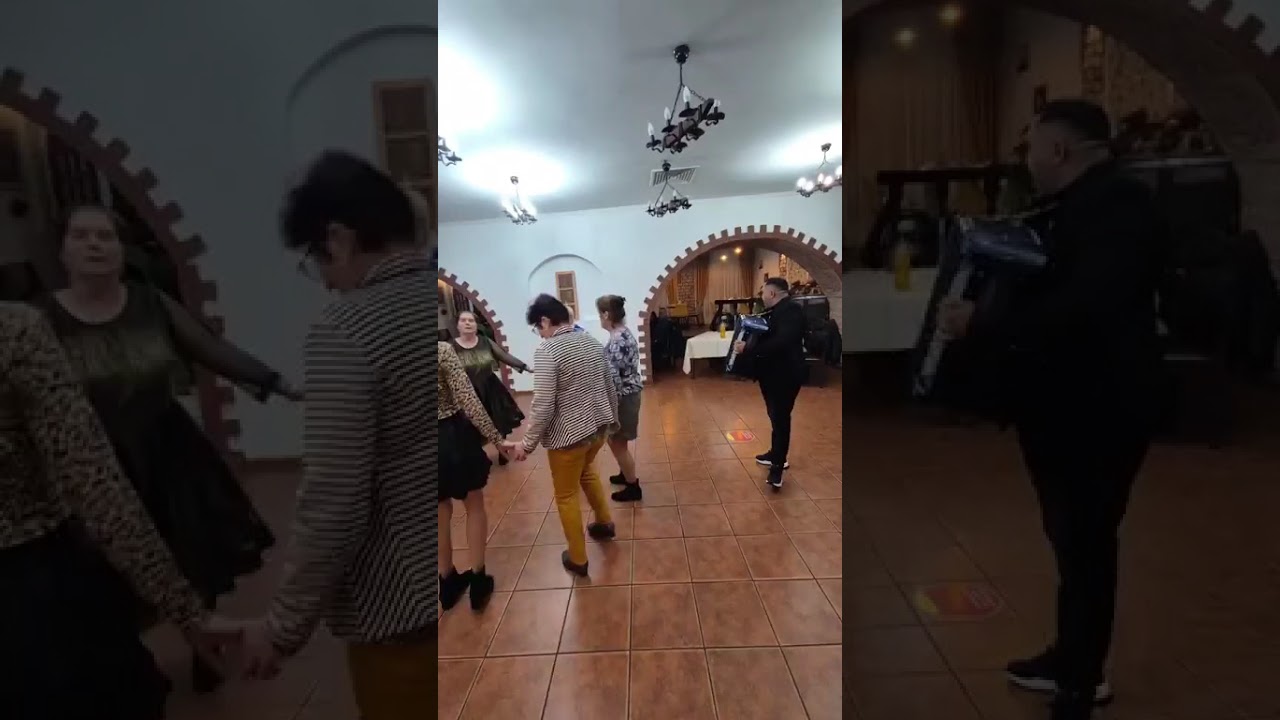 Colaj  sarbă instrumentală ❎️Formatia Elvis Iorga❎️0734574808