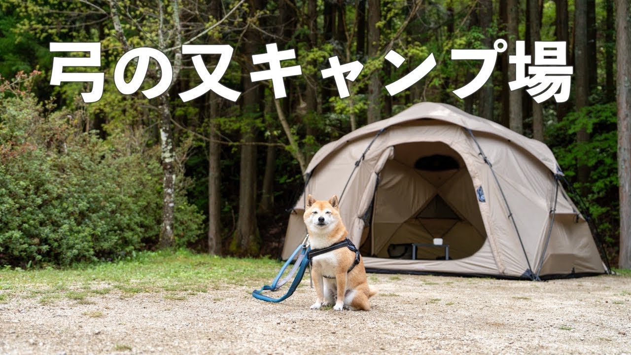【犬連れキャンプ】弓の又キャンプ場｜花桃さんぽも楽しめました（長野）