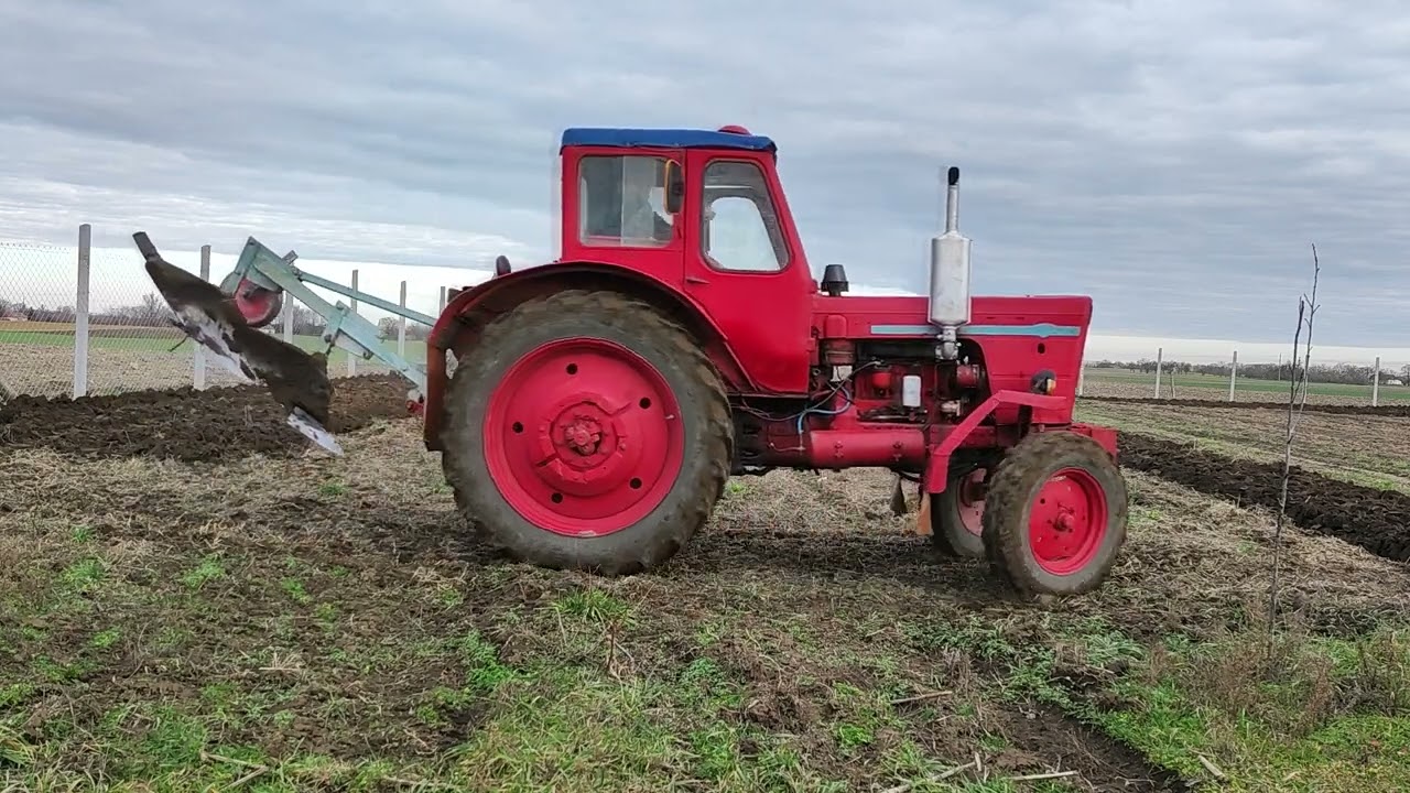 MTZ 50 szántás