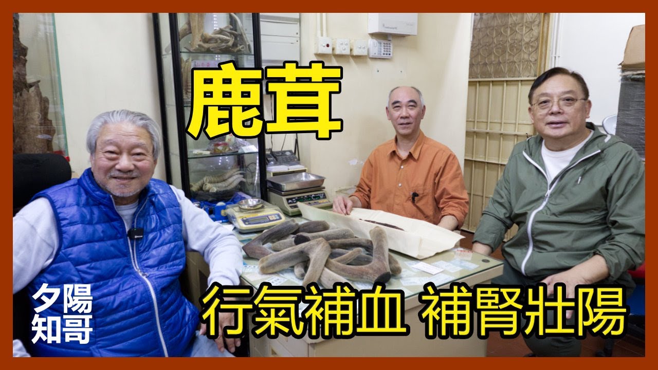 中藥篇 18｜鹿茸｜行氣補血 補腎壯陽