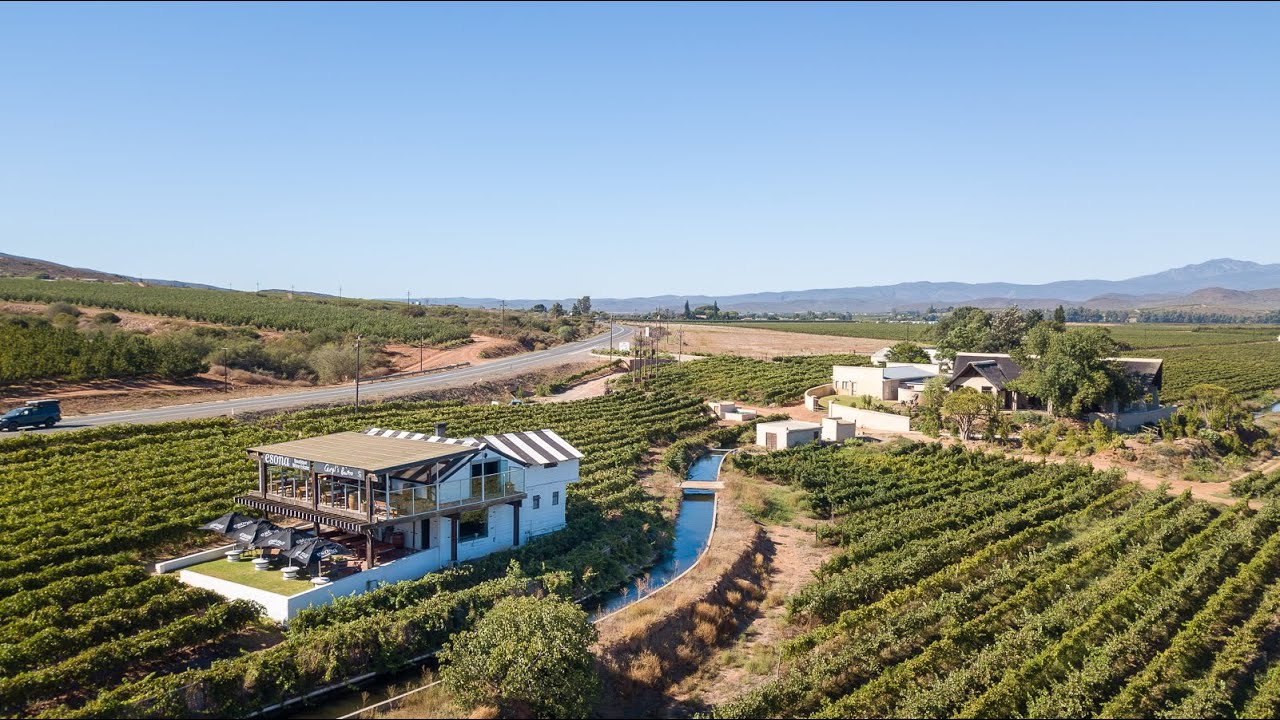 Spectacular Boutique Wine Estate
