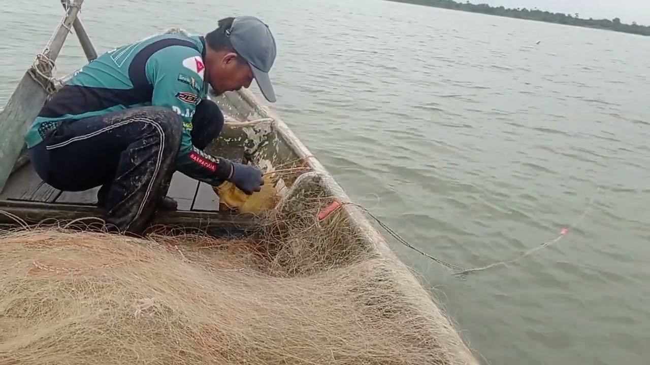 rezeki bulan ramadan.mejaring ikan perencong @ (ikan emas)