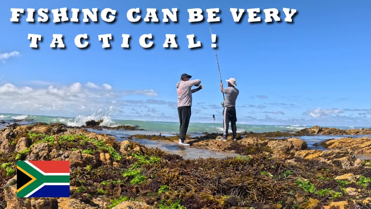 WE ARE BACK ! FIND THE BAITFISH FIND THE FISH