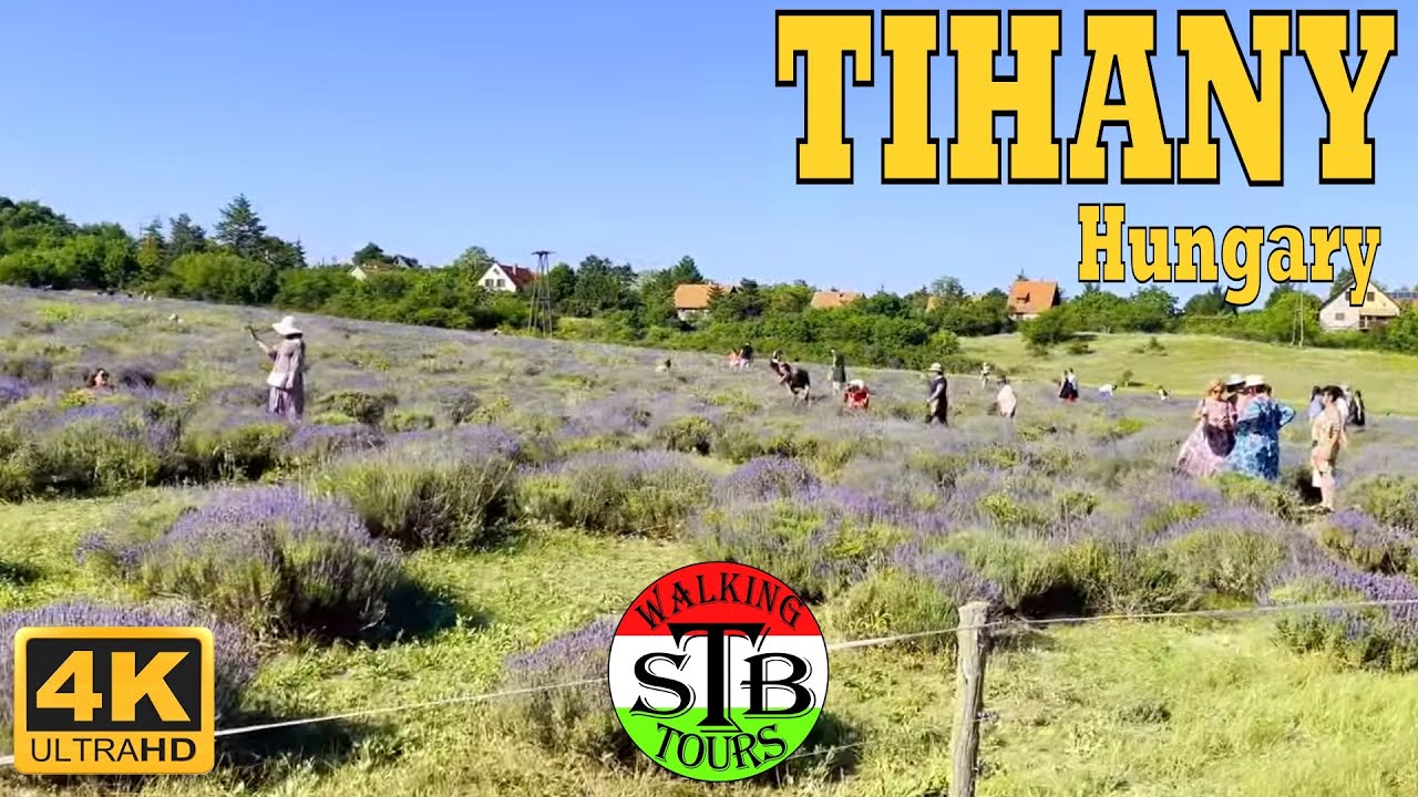 Tihany 🇭🇺 Hungary 2022 Lavender Festival and Lavender Weeks [54 min]