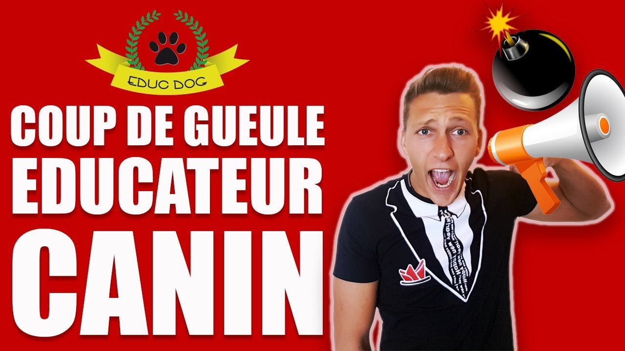 FORMATION ÉDUCATEUR CANIN : La réalité des FORMATIONS !!!!!!!