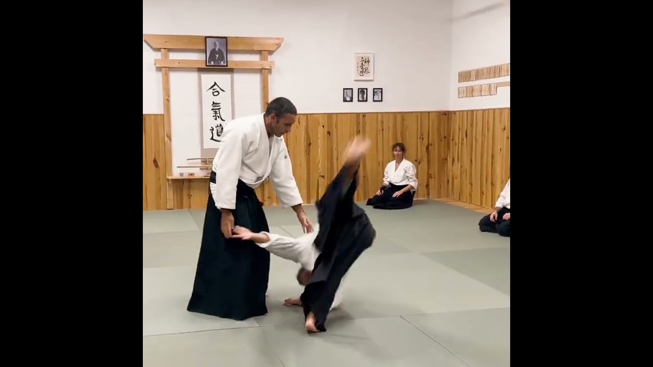 Luis Mochón Sensei. Mallorca 2024. #aikido