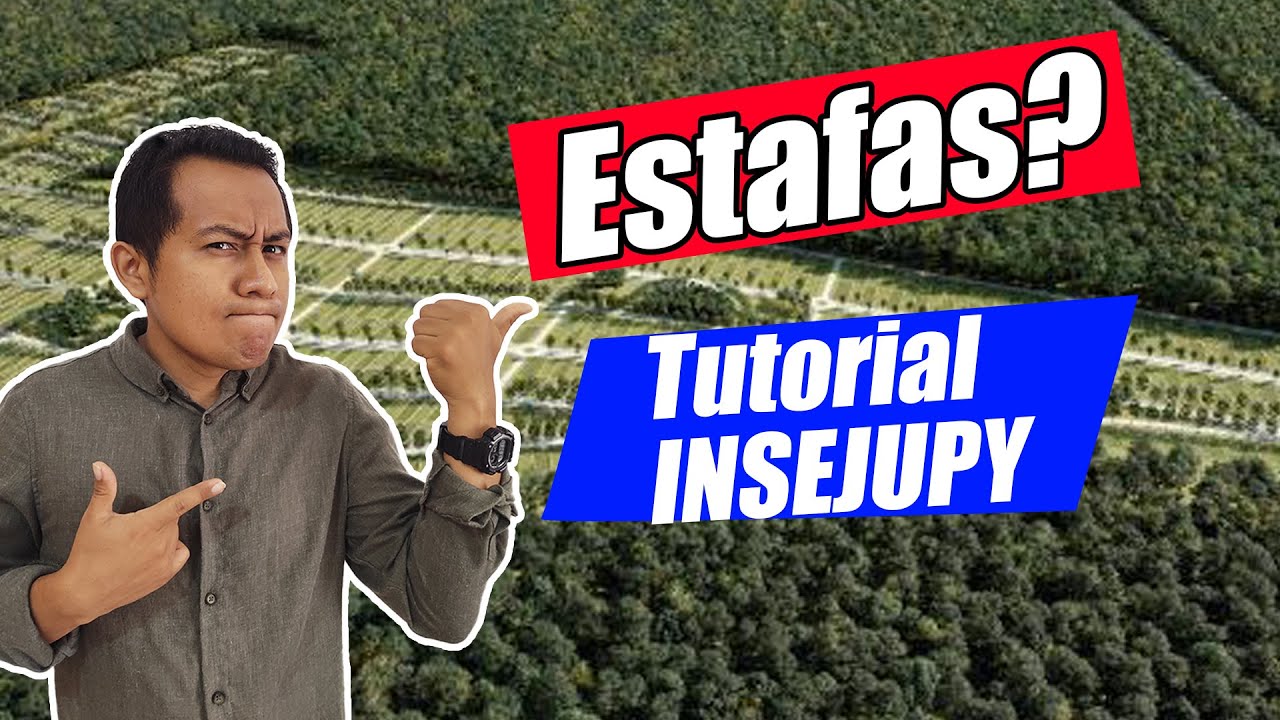 ¿Como saber si un TERRENO es PROPIEDAD PRIVADA en Yucatán? -Tutorial INSEJUPY