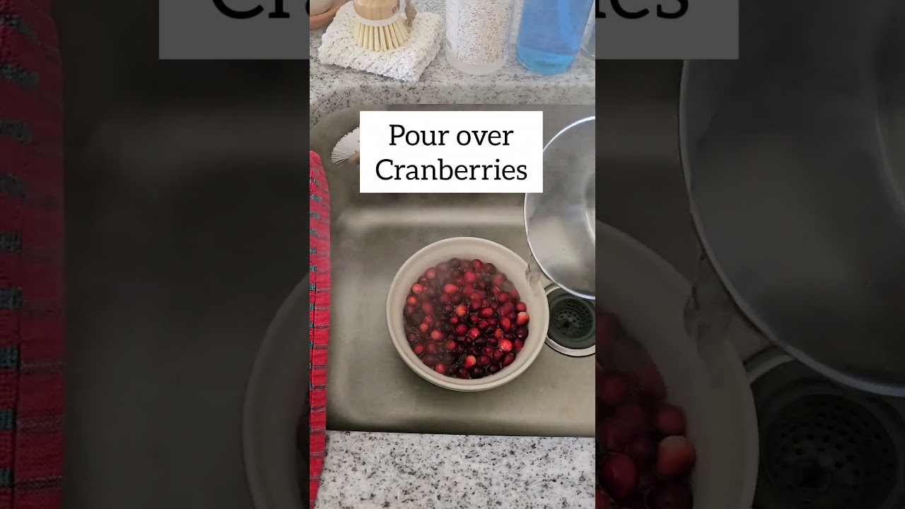 How to Dry Fresh Cranberries to use in #holidaydecor #christmasdiy #christmasdecor #christmascraft