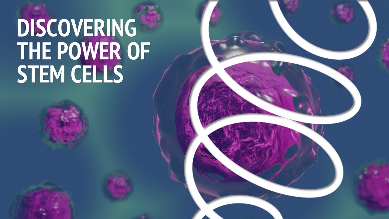 Discovering the power of stem cells: lifelong necessity and promising technology
