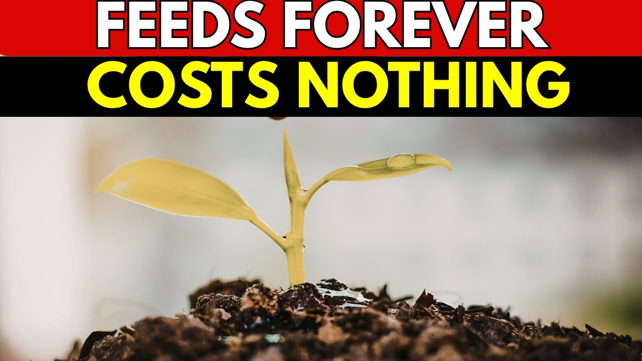 This Plant Fed Humanity For 8,000 Years And Now It's Called a Weed