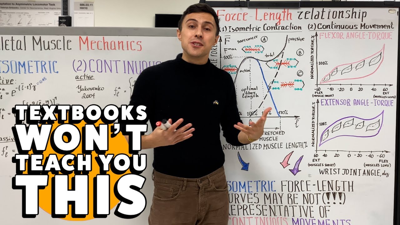 Force Length Relationship - Textbooks Won't Teach You This