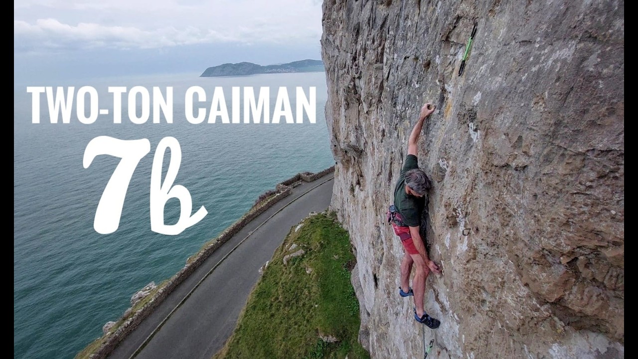 Two-Ton Caiman 7b