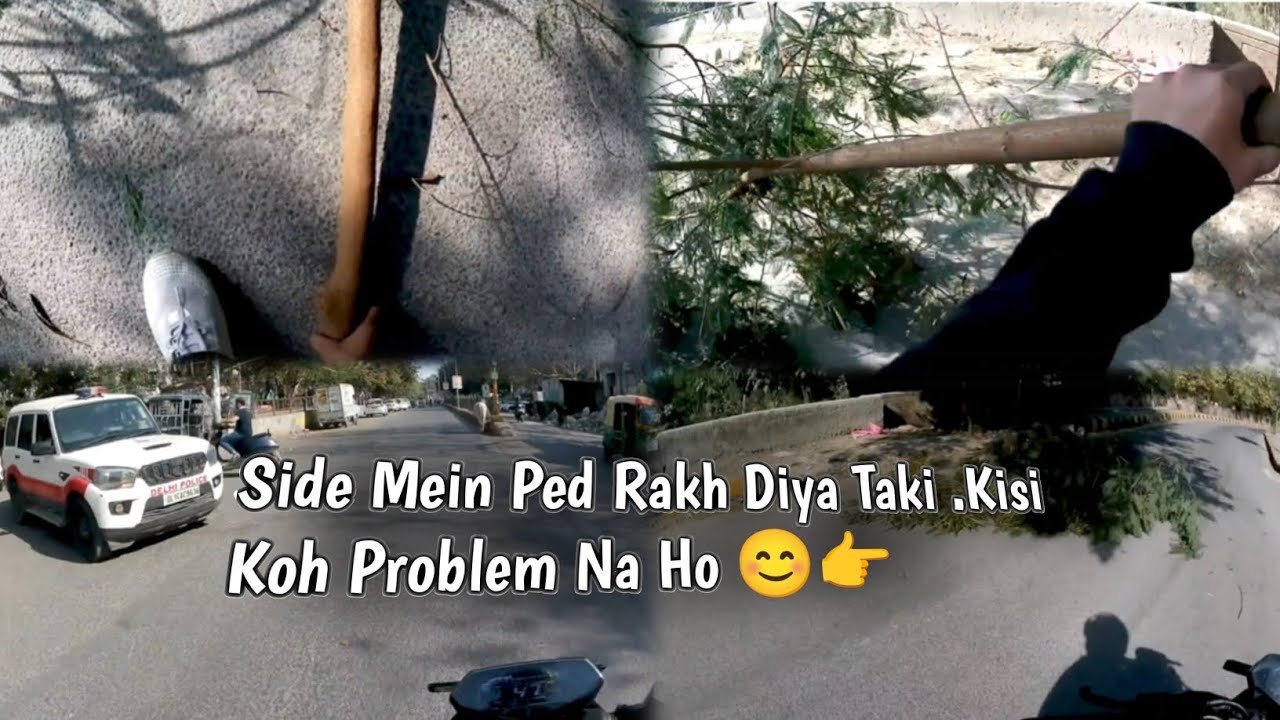 Side .Mein Ped Rakh Diya Taki Kisi Koh Problem Na Ho 