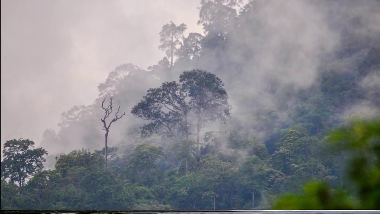 Danau Marpunge, Danau Tertinggi DiKawasan Ekosistem Leuser,Aceh