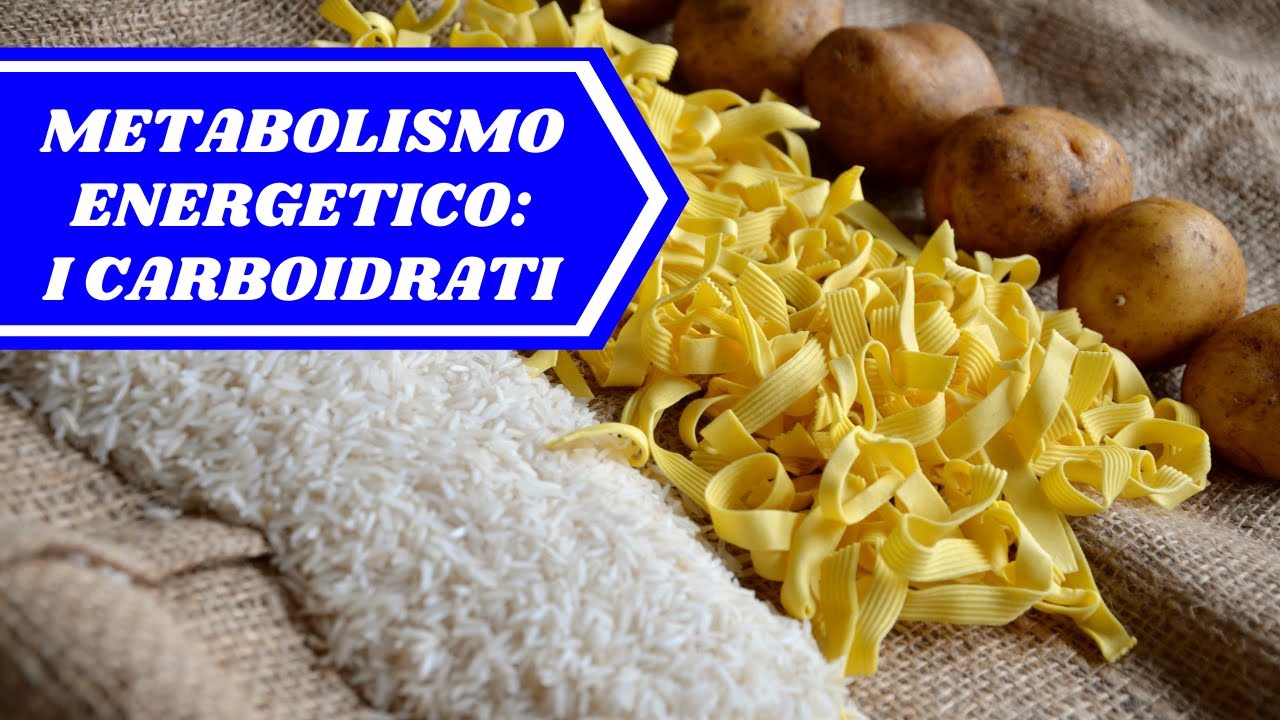 [ITA] METABOLISMO ENERGETICO - CARBOIDRATI: fonte di energia per l'allenamento