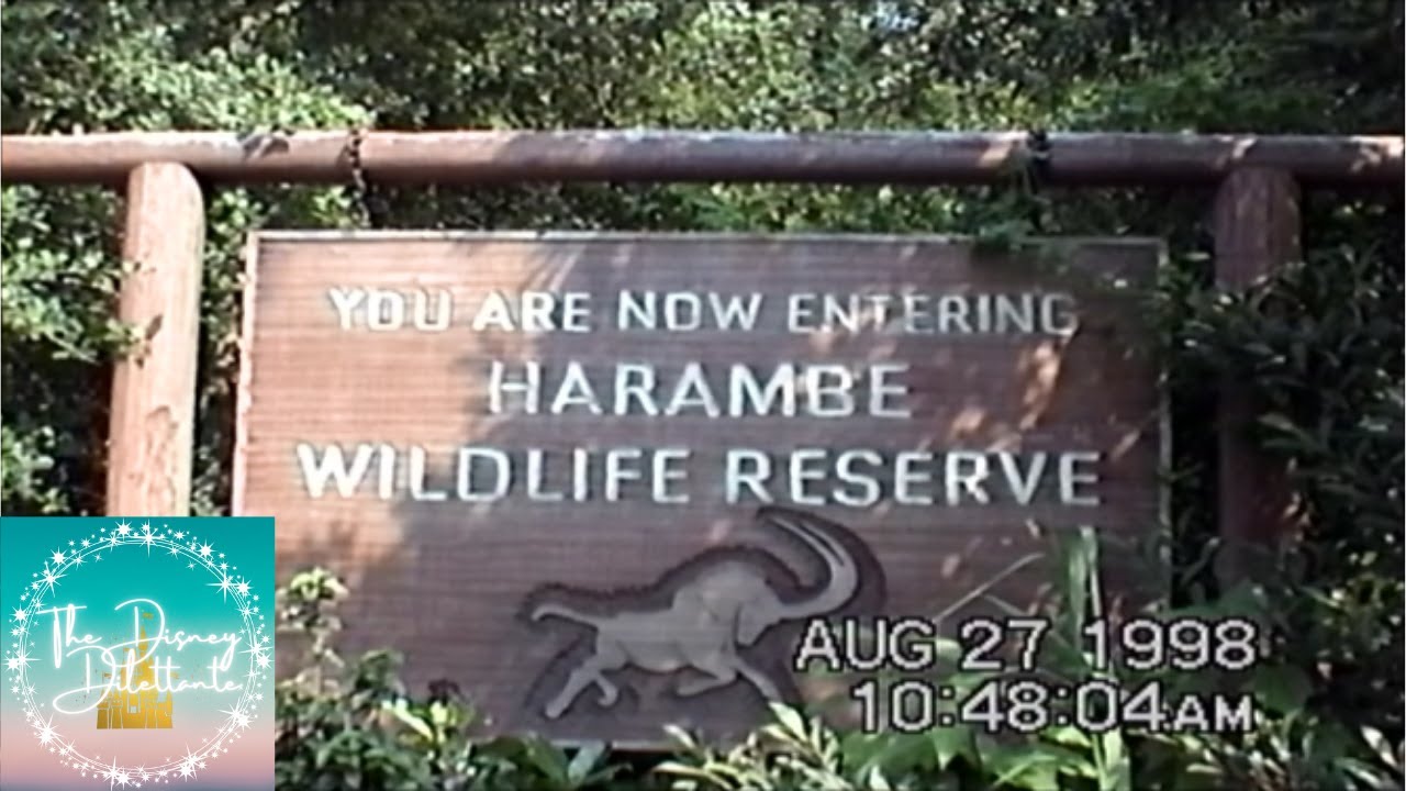Disney Animal Kingdom Harambe Wild Life Reserve Safari 1998 POV