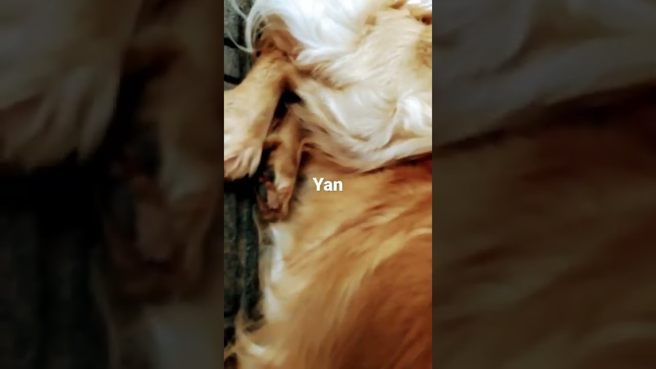 1.ism☺️lili 2. İsim🤪ares bizim sınfta Aras var😂🤣