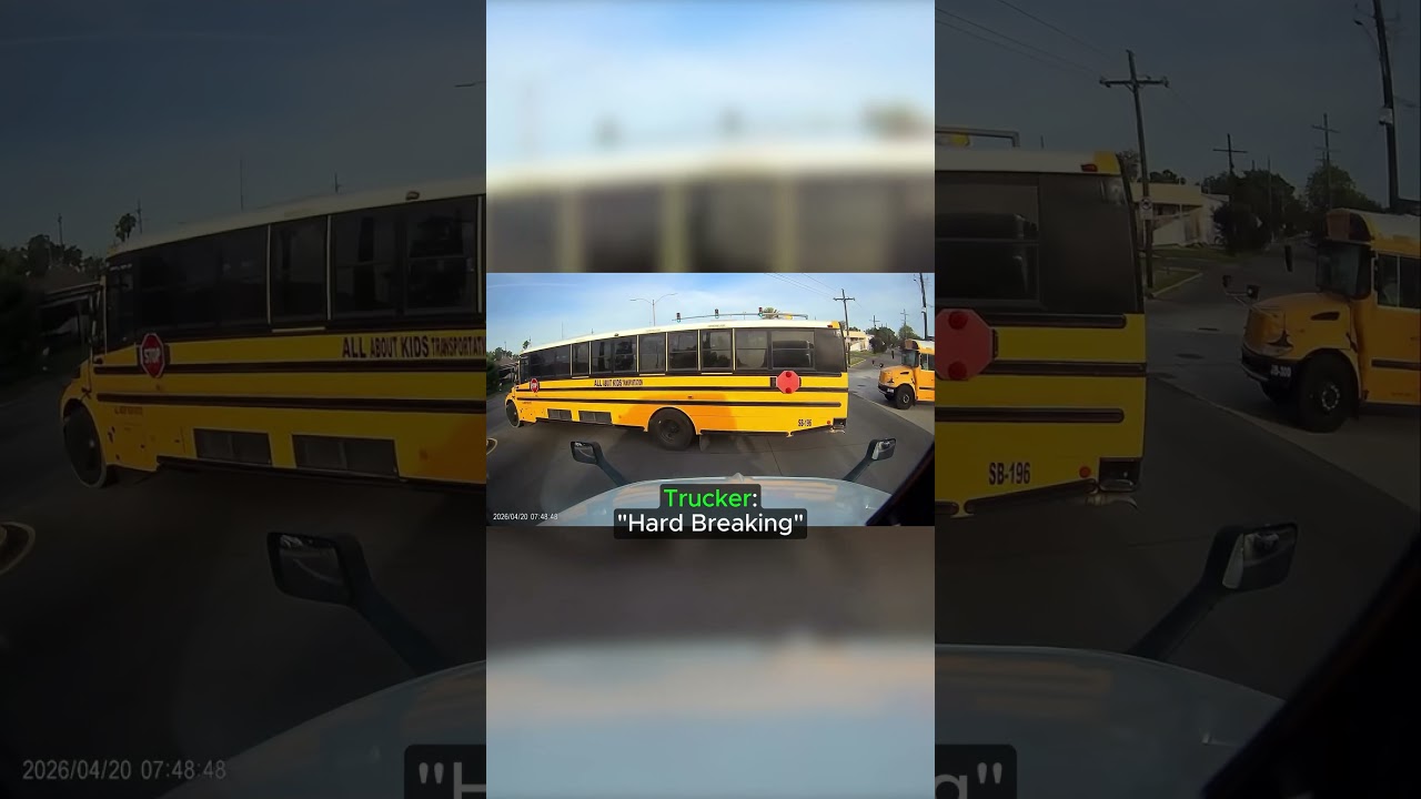 Reckless school bus cuts off semi-truck 🚌🚚 (Credit: @wetrucking24)